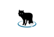 MetaFox v2.6.1.4 便携版 - 视频转换工具-蚂蚁分享网